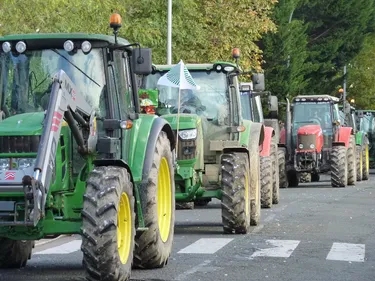Angers : mobilisation des agriculteurs ce mardi