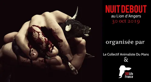 Manifestation mercredi des antispécistes devant l’abattoir Elivia...