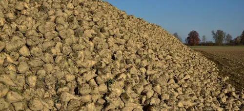 Eure-et-Loir : l’activité a repris sur le site de la sucrerie de Toury