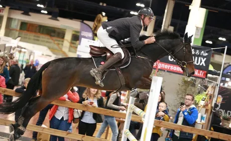 Le 4ème salon du cheval s’installe à Angers