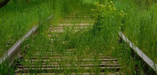 Sarthe : d’anciennes voies SNCF bientôt transformées en voies vertes