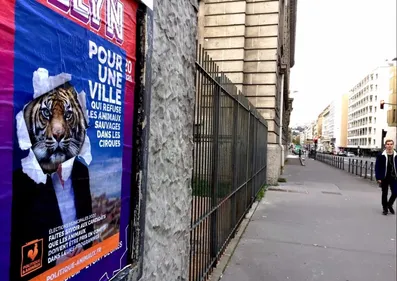 L214 à Angers samedi pour interpeller les candidats aux municipales...