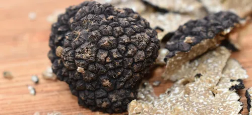Yonne : le marché aux truffes de Noyers-sur-Serein annulé