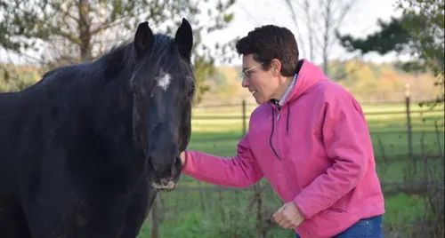 Loiret : apprendre à se connaitre grâce à l’équi-coaching