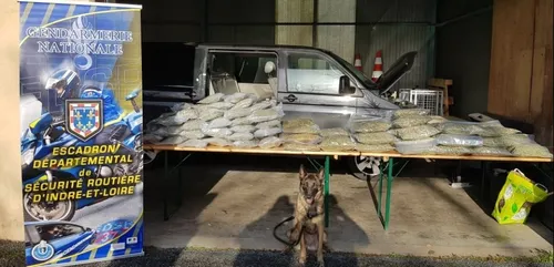 Indre-et-Loire : nouvelle saisie de stupéfiants sur l’A10