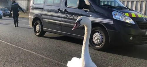 La circulation perturbée à Tours ce mercredi matin à cause d’un...