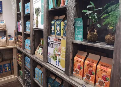 Angers : la tendance du « Do It Yourself » avec Radis et Capucine