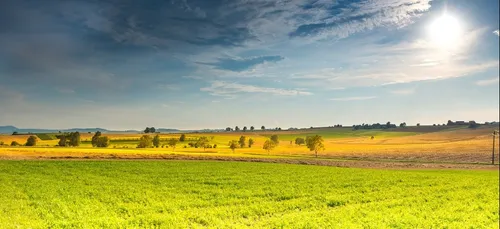 Loir-et-Cher : lancement d'une plateforme internet pour favoriser...