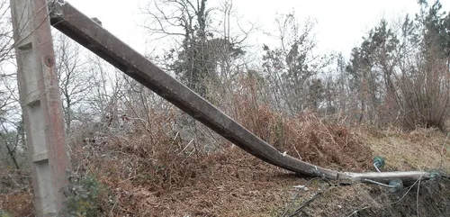 Tempête Ciara : plusieurs milliers de foyers privés de courant