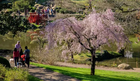 Anjou : le Parc Oriental de Maulévrier prépare sa réouverture