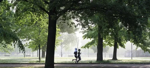 Le Mans : une joggeuse agressée, l’agresseur en fuite