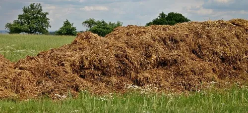 Nièvre : un agriculteur enseveli sous le contenu d’une benne à fumier
