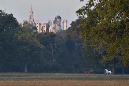 Dauphin dans la Loire, licorne à Chambord… les poissons d’avril...