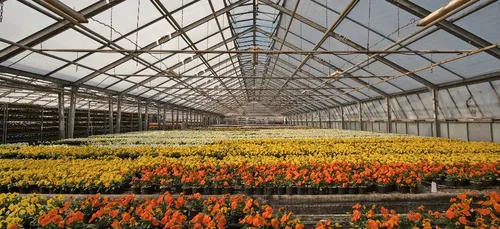 Loiret : Le département commande 500 000 euros de fleurs pour...