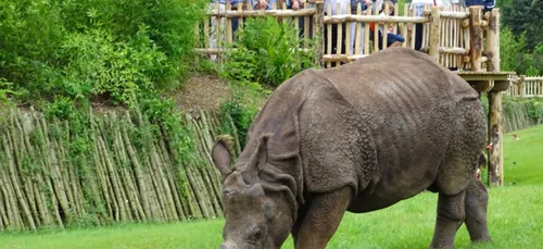Sarthe : les visiteurs de retour au zoo de La Flèche