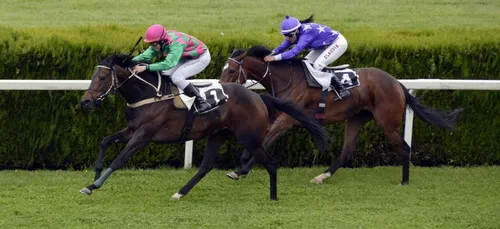 Angers : l’hippodrome se prépare à retrouver son public