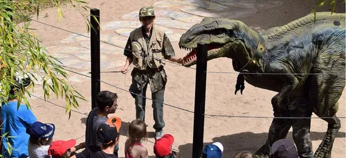Yonne : un cirque préhistorique chez Cardoland !