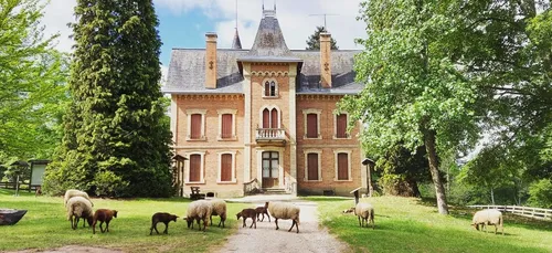 Découvrez la faune et la flore de Sologne au Domaine du Ciran