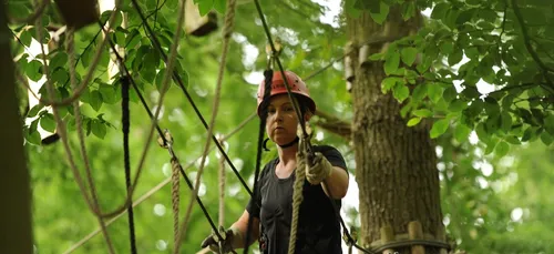 Loiret : une journée dans les arbres de Sologne