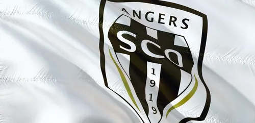 Football : le président délégué du SCO Angers démissionne