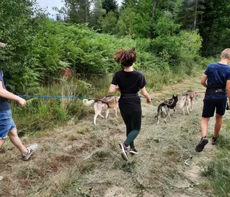 Dans la Sarthe, partez en randonnée avec un chien