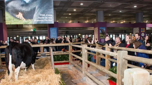 La Ferme Expo de Tours n’aura pas lieu cette année