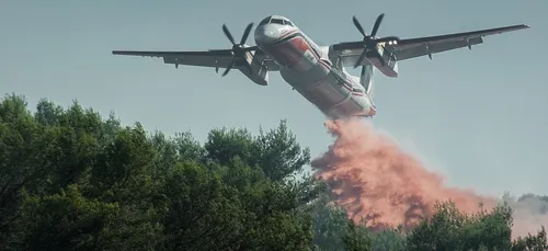 Sarthe : un feu de forêt détruit 25 hectares