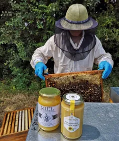 Retour des pesticides tueurs d’abeilles : désolation chez Famille...