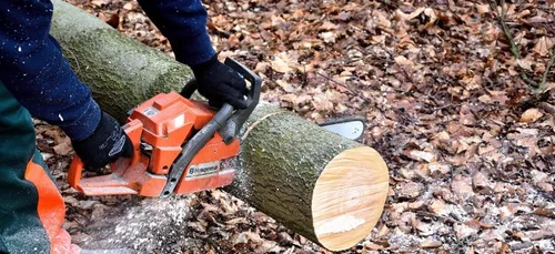 Allier : accident du travail mortel dans la forêt de Gayette