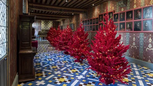 Le château royal de Blois fête Noël à compter du 15 décembre