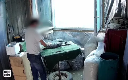 La Rochelle, Tours, Auxerre… opération de sensibilisation contre...