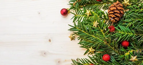 Nos conseils pour des fêtes de fin d'année plus écologiques