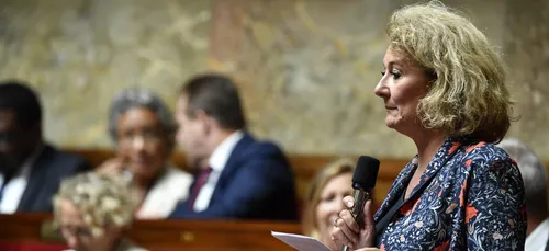 Indre-et-Loire : la députée Sophie Auconie démissionne pour raisons...