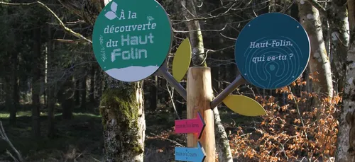 Bourgogne : les touristes au rendez-vous dans le Haut-Folin