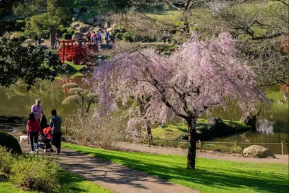Maine-et-Loire : le parc oriental de Maulévrier rouvre ce samedi !