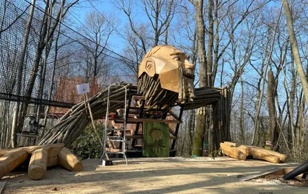 Maine-et-Loire : les trois géants de la forêt s’installent à Terra...