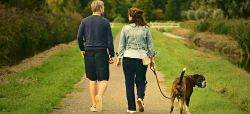 Confinement : comment calculer 10km autour de chez soi ?