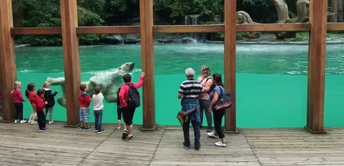 Zoo de la Flèche : « Une saison au zoo » revient le 3 mai