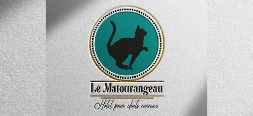Tours : ouverture prochaine d’un hôtel de luxe pour chats