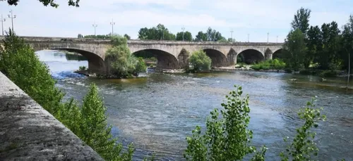 Orléans : appel à projets pour animer la Loire cet été