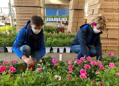 Distribution de fleurs dans les EHPAD du Maine-et-Loire