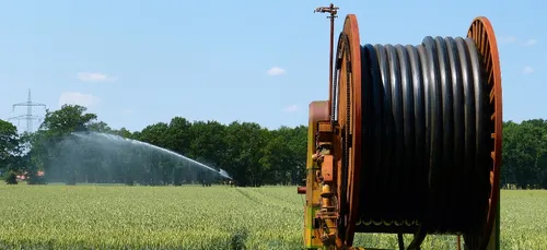 Sécheresse en Maine-et-Loire : situation déjà préoccupante,...