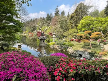 Maine-et-Loire : le parc oriental de Maulévrier rouvre ce samedi 8 mai