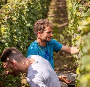 20 000 saisonniers recherchés en Maine-et-Loire