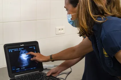 ZooParc de Beauval : la femelle panda Huan Huan attend des jumeaux
