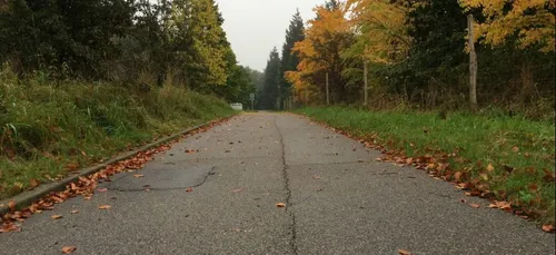 Loiret : un appel à témoins pour retrouver un adolescent de 12 ans