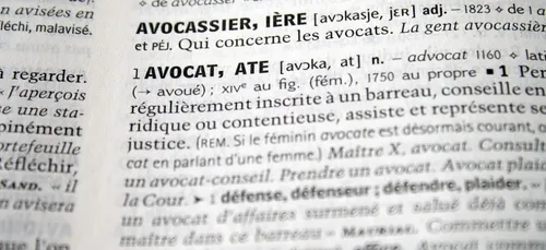 Voici les nouveaux mots des dictionnaires en 2019