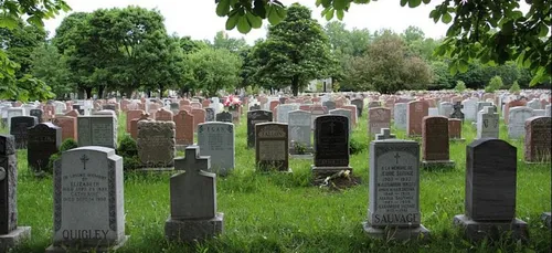 Indre-et-Loire : une trentaine de tombes vandalisées