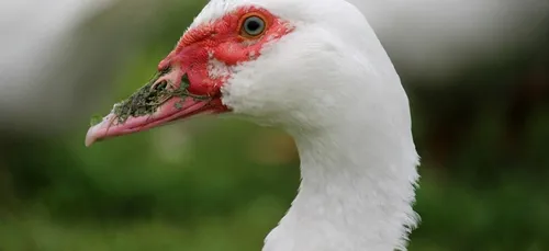 Emploi : le groupe « Grimaud frères » recrute dans plusieurs...