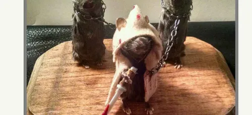 Des souris mortes en Walking Dead